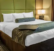 Comfort Suites New Bern near Cherry Point hotel detail image 7
