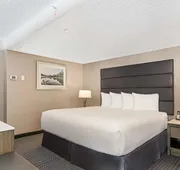 Best Western Premier Calgary Plaza Hotel & Conference Centre hotel detail image 7