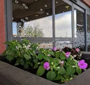 Hampton Inn & Suites Cincinnati-Union Center hotel detail image 3