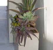 Comfort Inn Santa Cruz North hotel detail image 4