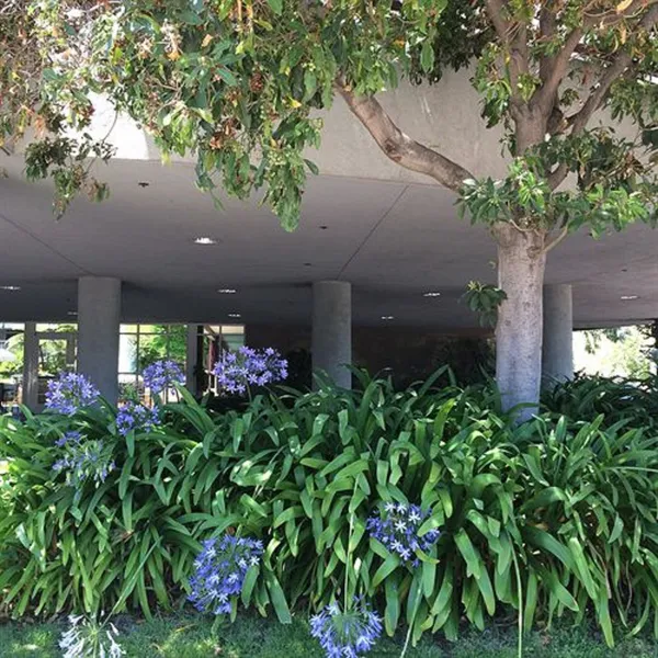 Cupertino Hotel hotel detail image 2