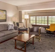 Sheraton Baltimore Washington Airport Hotel - BWI hotel detail image 7