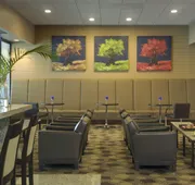 DoubleTree by Hilton St. Louis - Westport hotel detail image 7