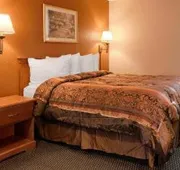Best Western Airport hotel detail image 7