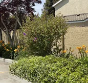 Holiday Inn Express Redwood City-Central by IHG hotel detail image 5