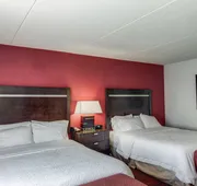 Hampton Inn & Suites Detroit / Airport - Romulus hotel detail image 5