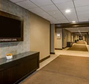 Crowne Plaza Chicago Ohare Hotel & Conf Ctr by IHG hotel detail image 7