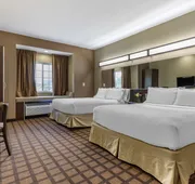Microtel Inn & Suites By Wyndham Sylva Dillsboro Area hotel detail image 3