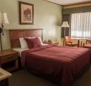 Western Holiday Lodge Three Rivers hotel detail image 7
