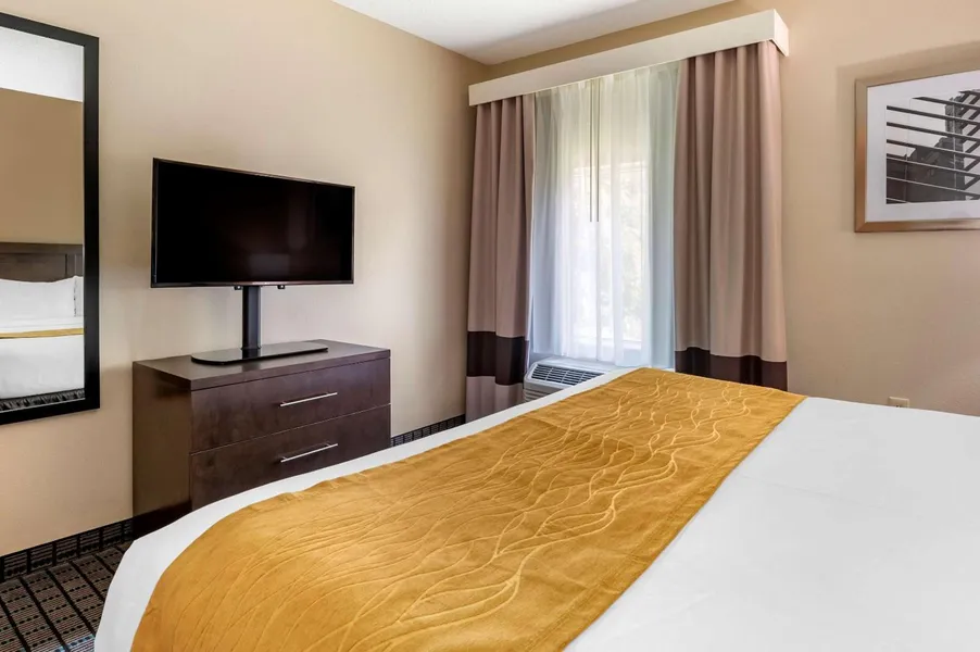 Comfort Inn & Suites hotel detail image 2