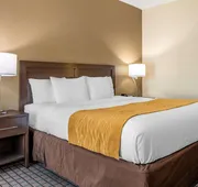Comfort Inn & Suites hotel detail image 3