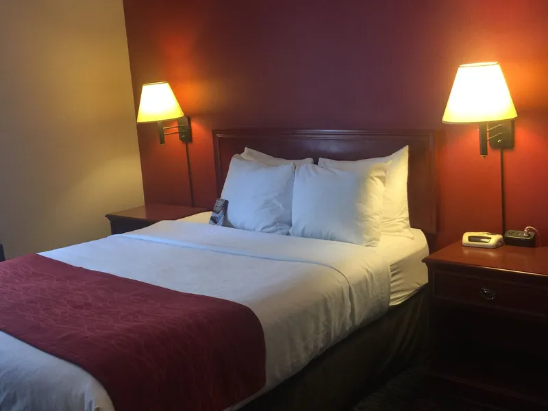 Comfort Inn & Suites University hotel detail image 6