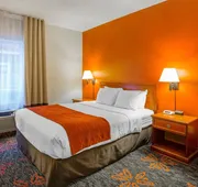 Comfort Inn & Suites University hotel detail image 7