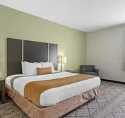 Best Western Plus North Houston Inn & Suites hotel detail image 7