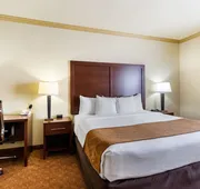 Comfort Suites near NASA - Clear Lake hotel detail image 5