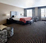 Holiday Inn San Antonio N - Stone Oak Area by IHG hotel detail image 3