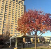 Sheraton Overland Park Hotel at the Convention Center hotel detail image 3