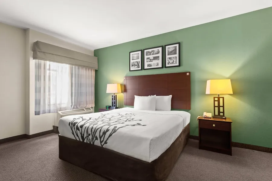Sleep Inn & Suites Bush Intercontinental - IAH East hotel detail image 6