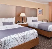 Best Western Airpark Hotel - LAX Airport LA Stadium hotel detail image 4