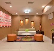 Holiday Inn Express & Suites St Louis Airport by IHG hotel detail image 4