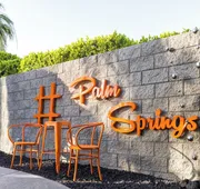 The Palm Springs Hotel hotel detail image 4