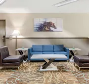 Quality Suites Kansas City International Airport hotel detail image 3
