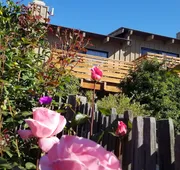 Carmel Valley Lodge and Resort hotel detail image 5