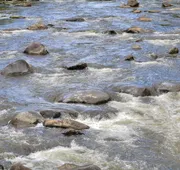 Gatlinburg River Inn hotel detail image 3
