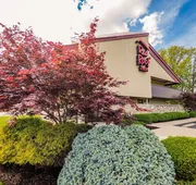 Red Roof Inn Cincinnati Northeast - Blue Ash hotel detail image 5