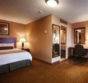 Best Western Vista Inn At The Airport hotel detail image 4