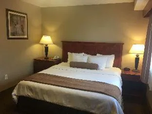 Best Western Vista Inn At The Airport hotel detail image 6
