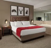 Great Wolf Lodge Cincinnati/Mason hotel detail image 3