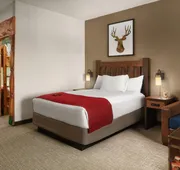 Great Wolf Lodge Cincinnati/Mason hotel detail image 5