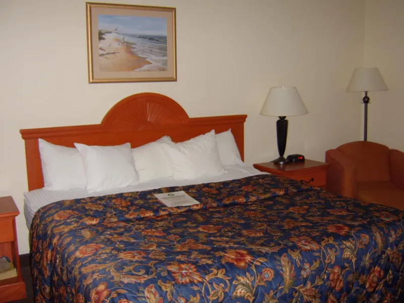 Comfort Inn Airport hotel detail image 2