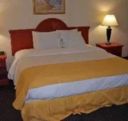 Comfort Inn Airport hotel detail image 3
