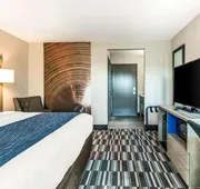 Comfort Inn Airport hotel detail image 7