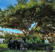 Wailea Beach Resort - Marriott, Maui hotel detail image 4