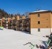 Mountain Lodge at Okemo, A Vail Resorts Property hotel detail image 4