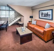 Sheraton North Houston at George Bush Intercontinental hotel detail image 7