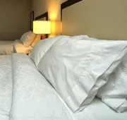Holiday Inn Express Hotel & Suites Batavia - Darien Lake by IHG hotel detail image 7