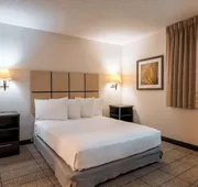 Sonesta Simply Suites Dallas Richardson hotel detail image 3