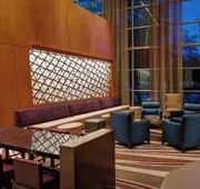 The Woodlands Waterway Marriott Hotel & Convention Center hotel detail image 3