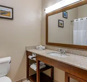 Comfort Inn & Suites St. Louis - O'Fallon hotel detail image 4