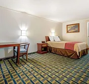 Hilliard Motor Lodge hotel detail image 5