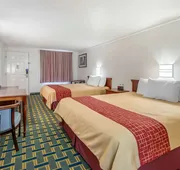 Hilliard Motor Lodge hotel detail image 7