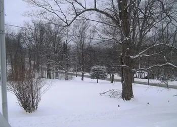 Locust Tree Bed and Breakfast LLC hotel thumbnail 5