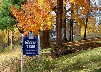 Locust Tree Bed and Breakfast LLC hotel thumbnail 6
