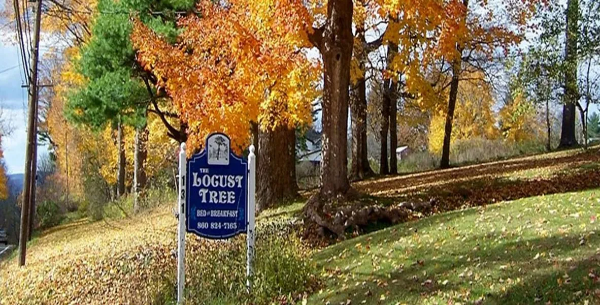 Locust Tree Bed and Breakfast LLC hotel detail image 6