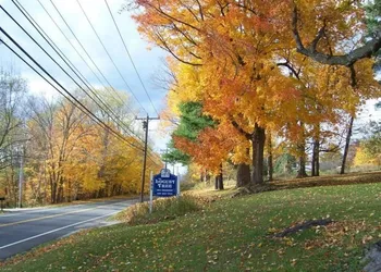 Locust Tree Bed and Breakfast LLC hotel thumbnail 7