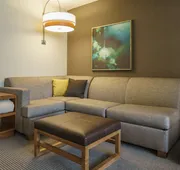 Hyatt Place Houston/Galleria hotel detail image 4